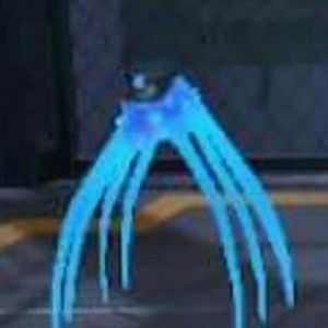 Meet your Posher, Whitney